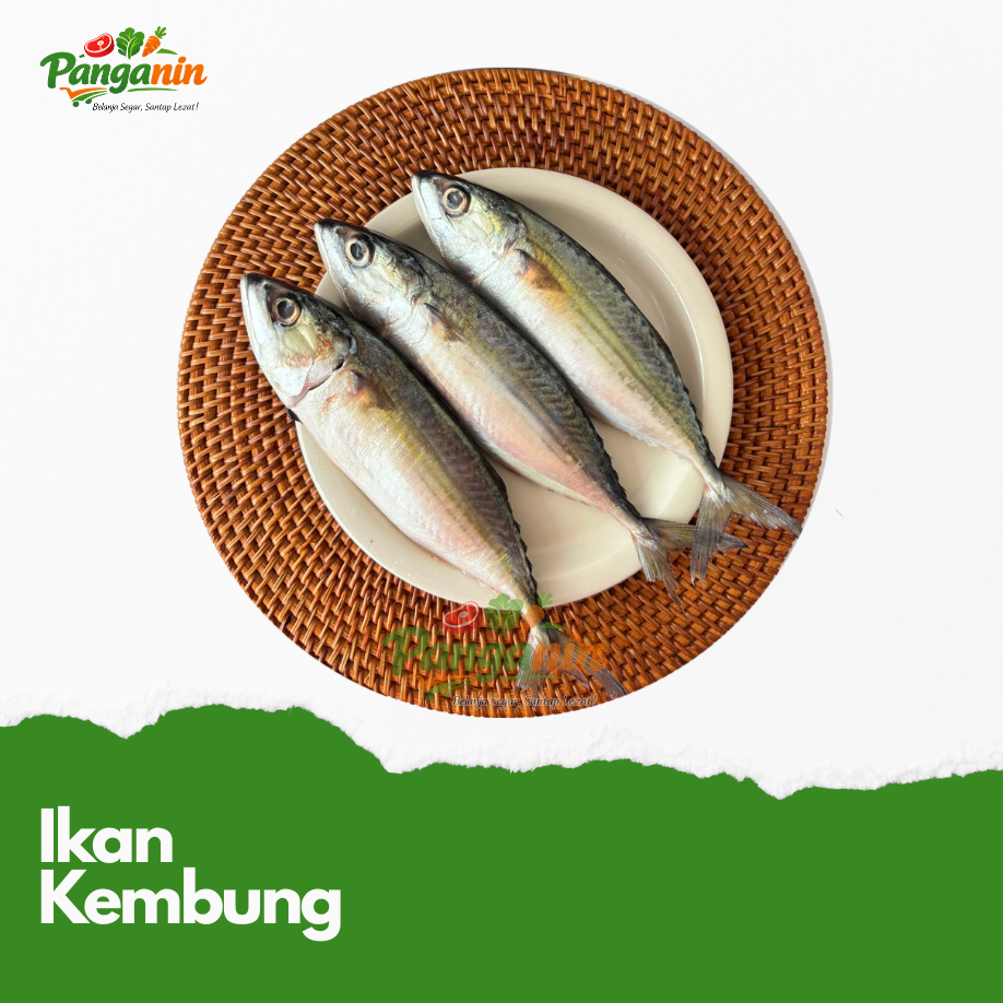 Ikan Kembung Banjar 400 gram