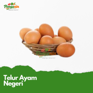 Telur Ayam Negeri 10 Butir