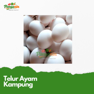 Telur Ayam Kampung 10 Butir